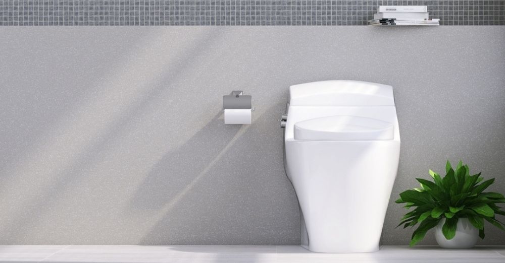 Toilet Installation Services Etobicoke