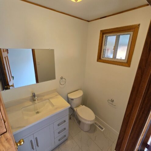 small bathroom reno mississauga