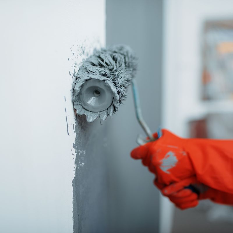house paint services for Scarborough